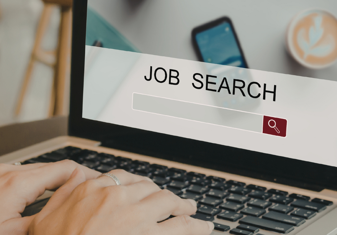 jOB SEARCH